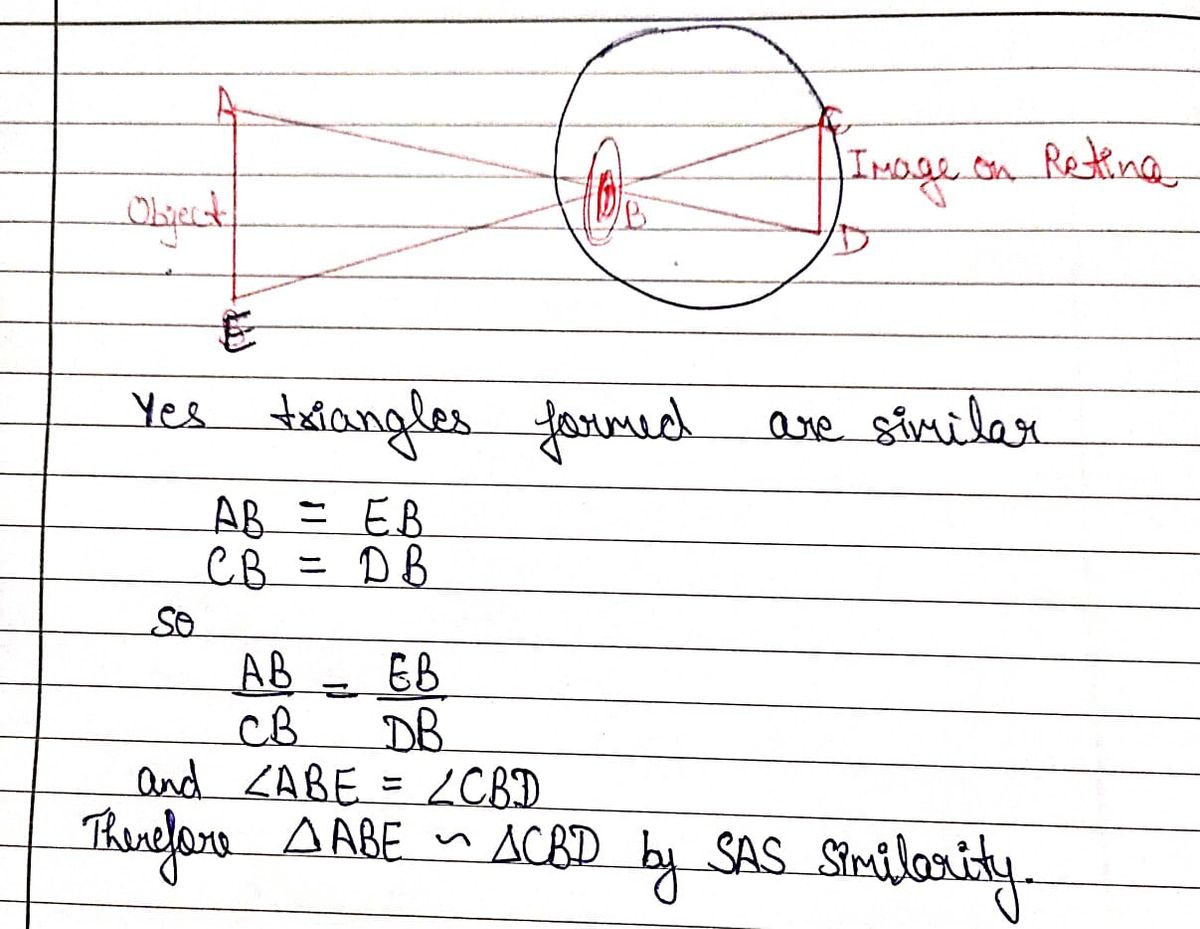 Physics homework question answer, step 1, image 1